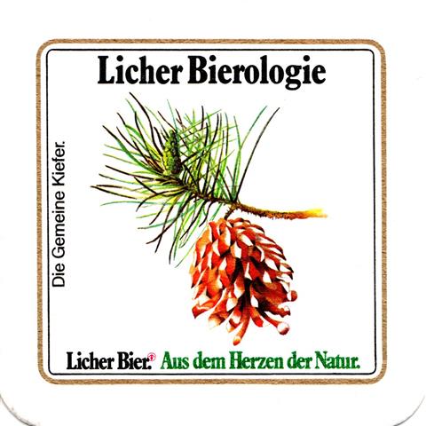 lich gi-he licher biero bfr lo ov 2b (quad185-die gemeine kiefer)